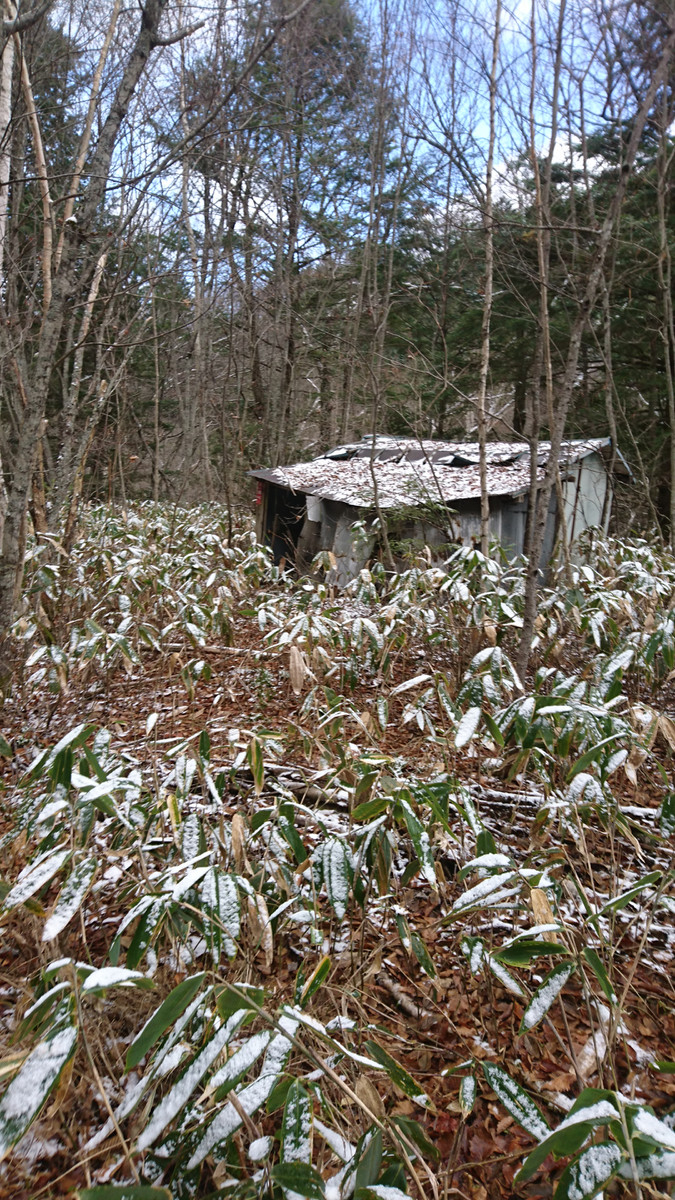 Dsc_0103
