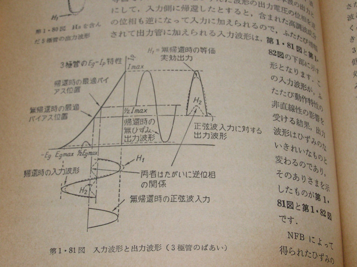 P1010039 P1010039